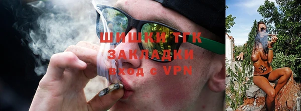 амф Арсеньев